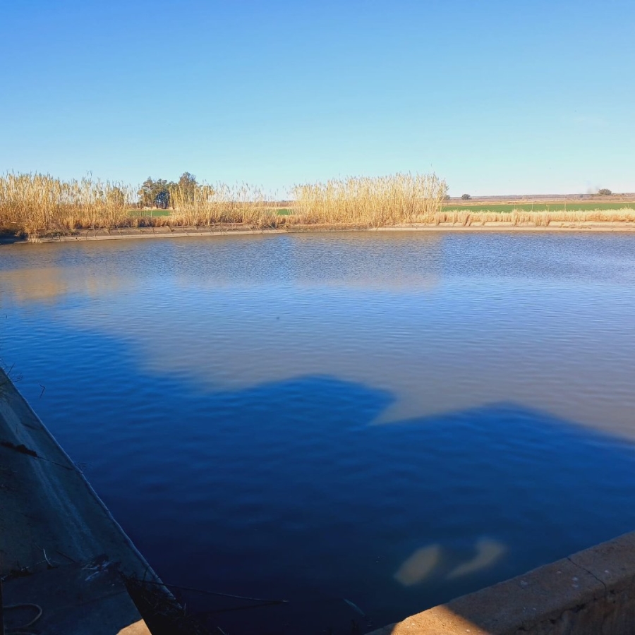  Bedroom Property for Sale in Barkly West Rural Northern Cape